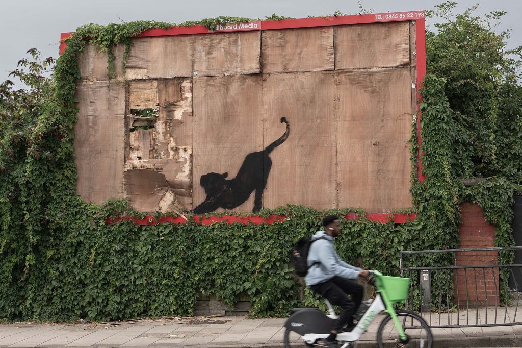 Katze bei Dehnübungen: Banksy setzt Tierreihe in London fort