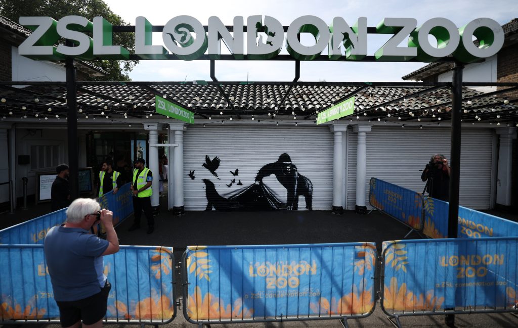 Banksy lässt am Londoner Zoo die Tiere frei