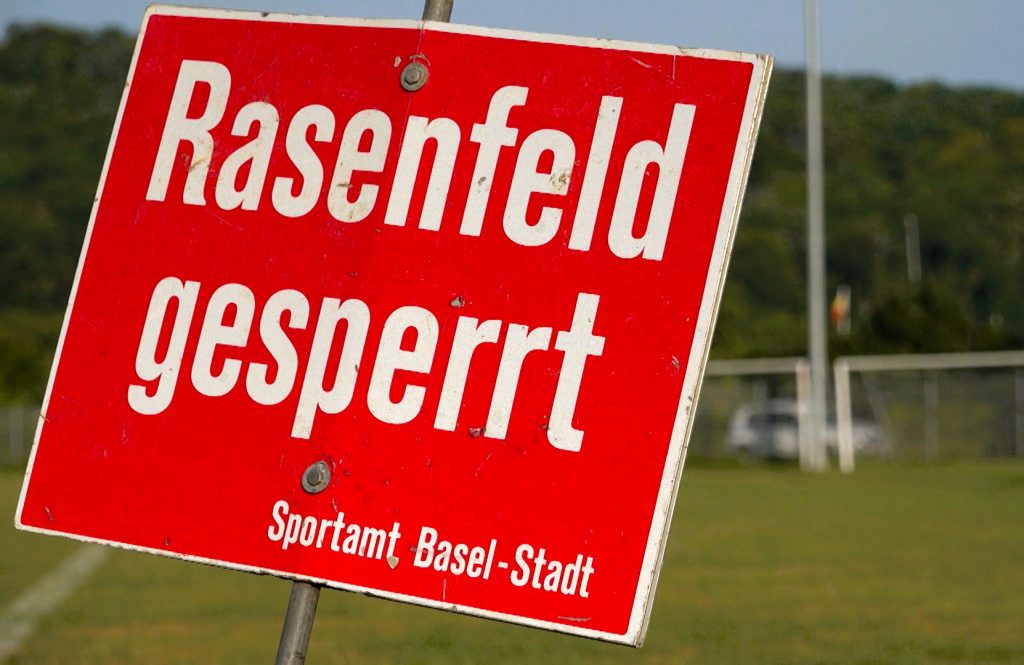 Japankäfer nervt Vereine: «Wir müssen Woche für Woche einen Trainings-Ort finden»