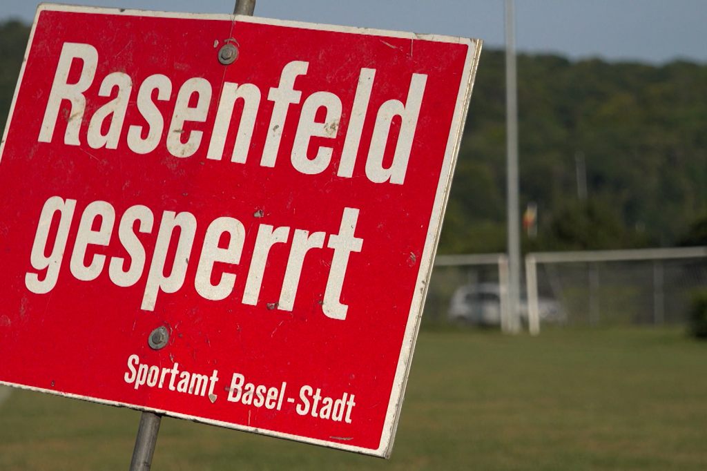 Japankäfer nervt Vereine: «Wir müssen Woche für Woche einen Trainings-Ort finden»