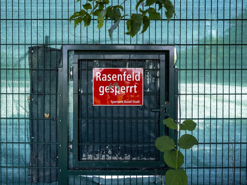 Zum Ende der Hauptflugsaison des Japankäfers gibt’s Kunstrasen in Basel