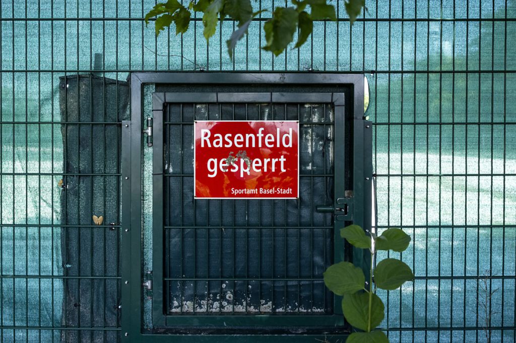 Zum Ende der Hauptflugsaison des Japankäfers gibt’s Kunstrasen in Basel