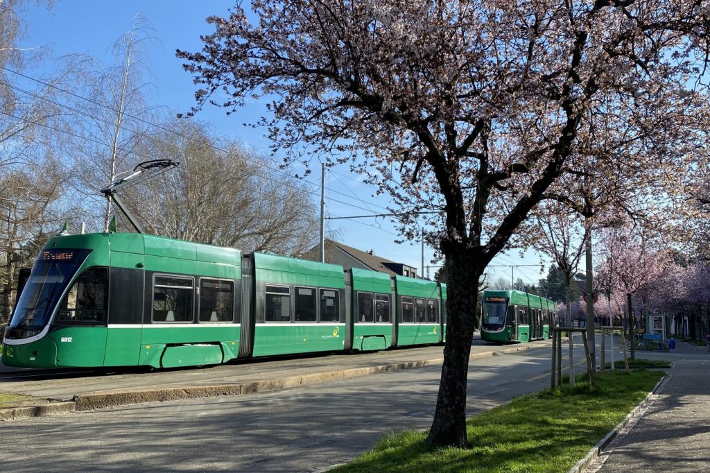 Gleisbau am Jakobsberg: Einschränkung auf den Tramlinien 15 und 16 im Oktober