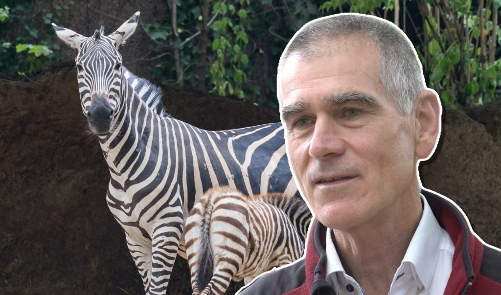 «Wir haben diesen Ausbau jahrelang geplant»