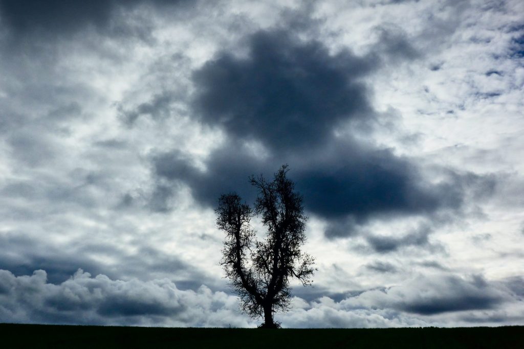 «Schnappschuss»: Naturhistorisches Museum prämiert das schönste Naturfoto