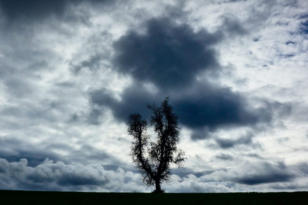 «Schnappschuss»: Naturhistorisches Museum prämiert das schönste Naturfoto