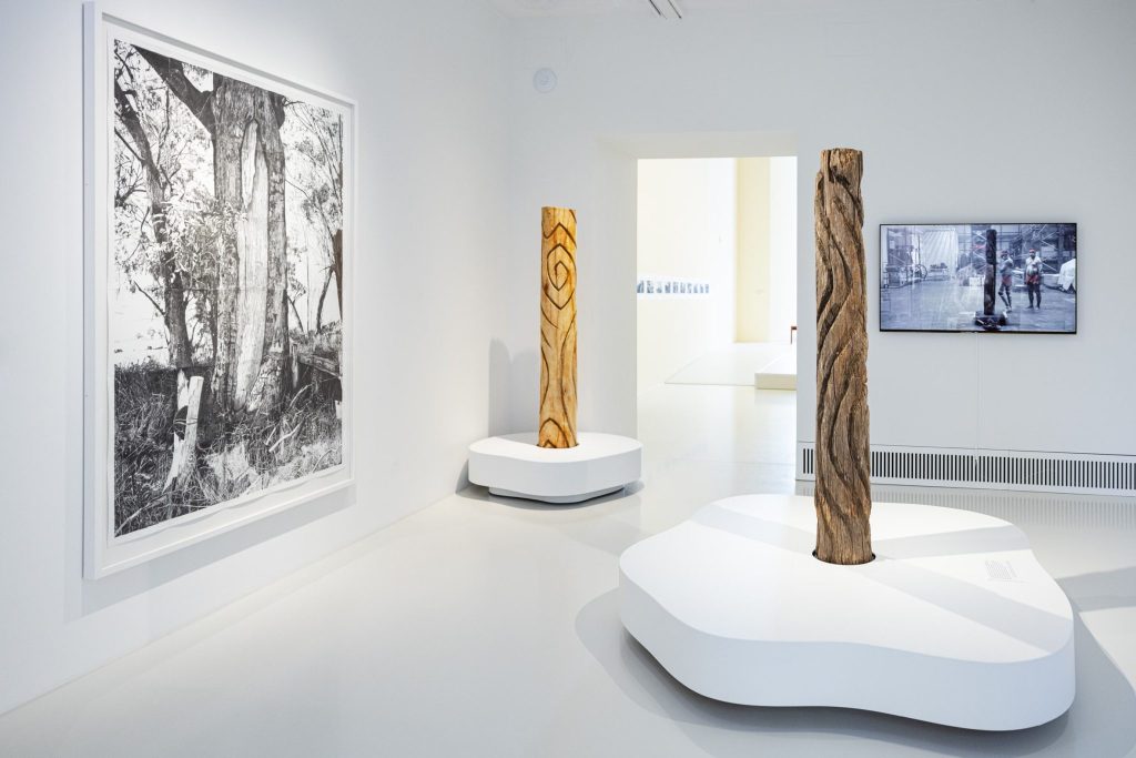 Museum der Kulturen gibt Thulu-Baum zurück und wird belohnt