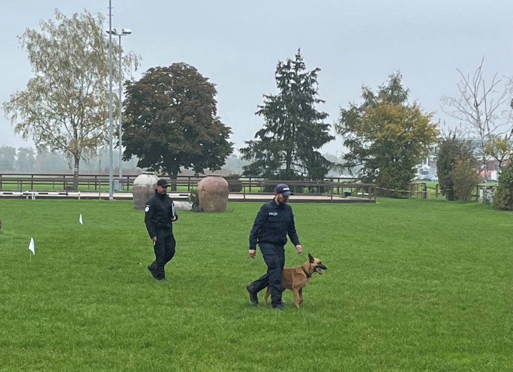 Polizeihund «Ace» gewinnt erneut die Hundeprüfung