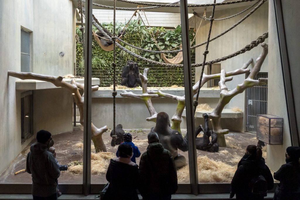 Zolli soll 8 Millionen Franken vom Kanton erhalten