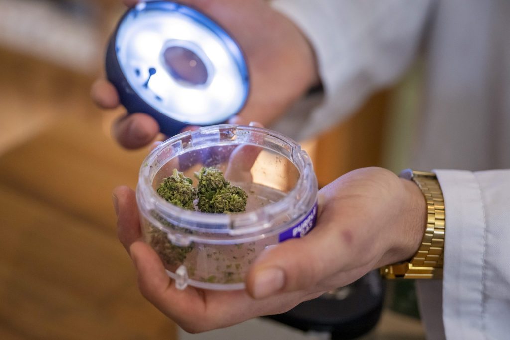 Basel verlängert regulierte Cannabis-Abgabe in Apotheken