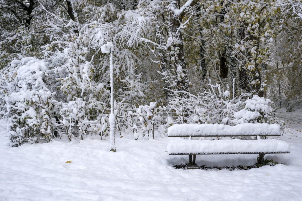 Wie viel weisst du über die weisse Pracht?
