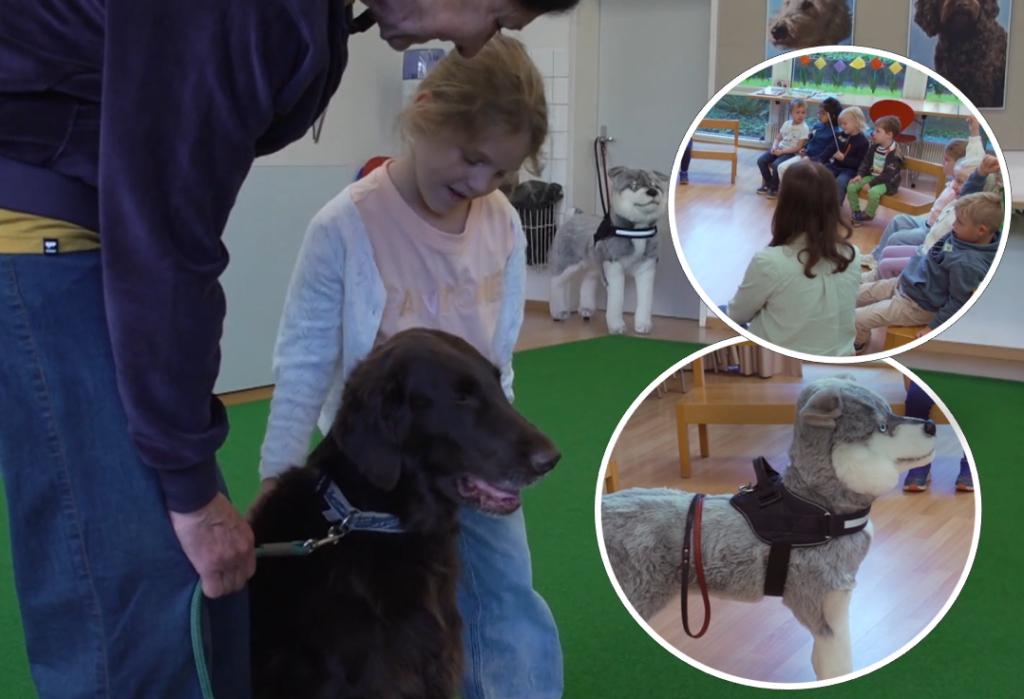 «Kind und Hund»: Kindergartenkinder lernen den respektvollen Umgang mit Hunden