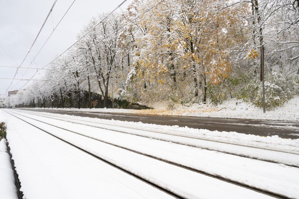 Erster Schritt des Masterplans «Zolli 2049»: Baustart des neuen Parking