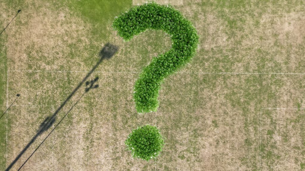 Alle wollen kicken – keiner hat Platz