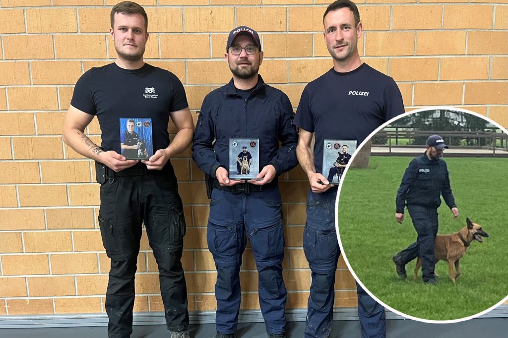 Polizeihund «Ace» gewinnt erneut die Hundeprüfung