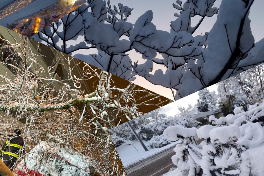 Leserreporter aufgepasst: Schicke deine Schneebilder und -videos an die Baseljetzt-Redaktion