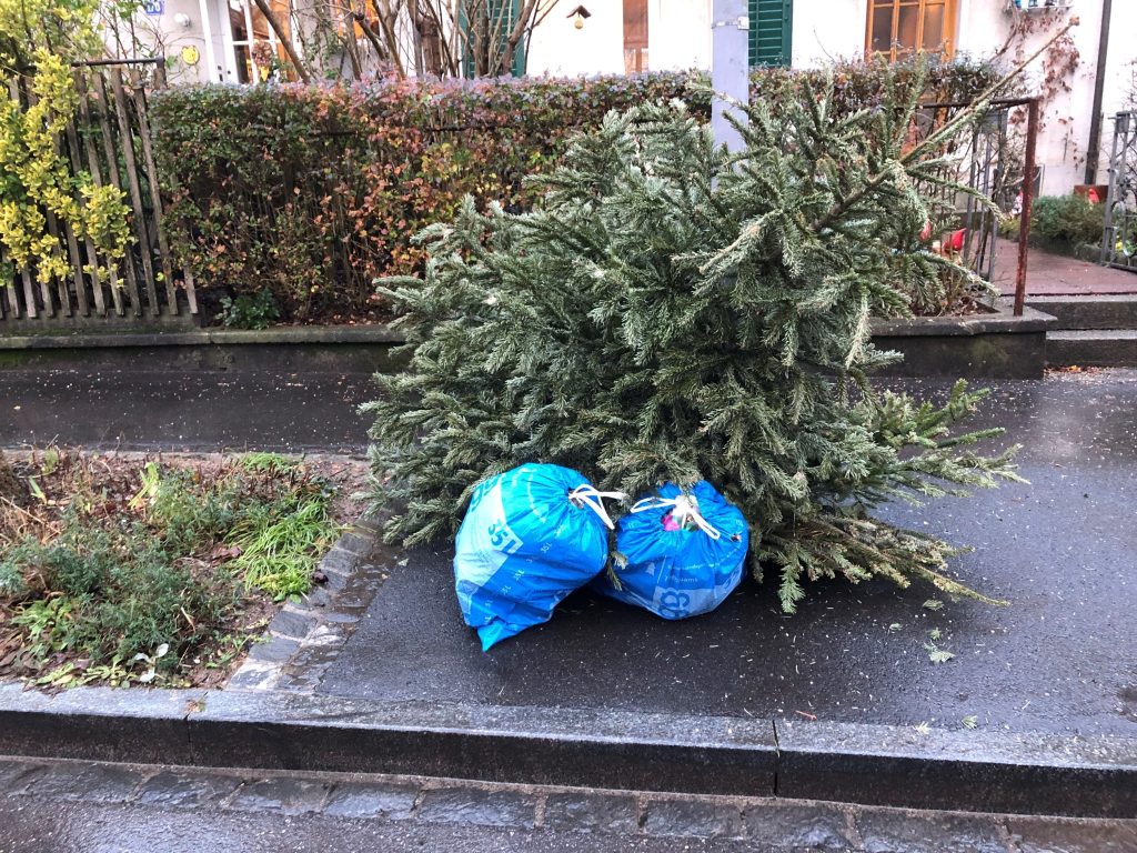 So kannst du deinen Weihnachtsbaum entsorgen