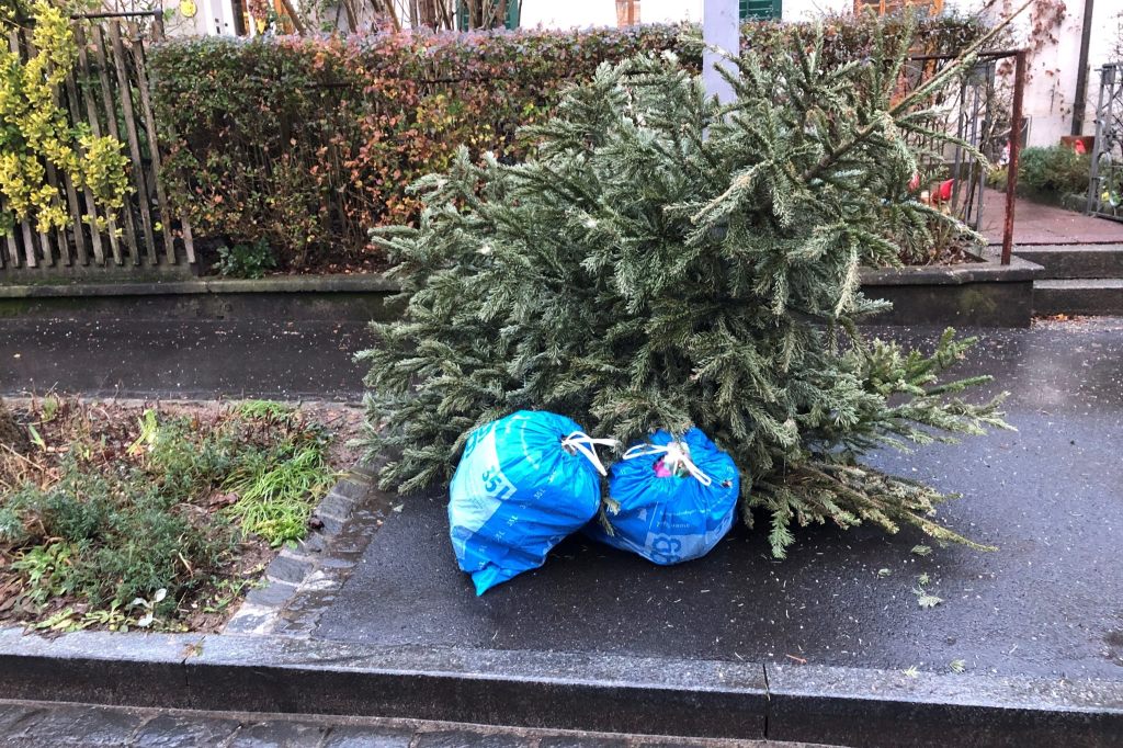 So kannst du deinen Weihnachtsbaum entsorgen