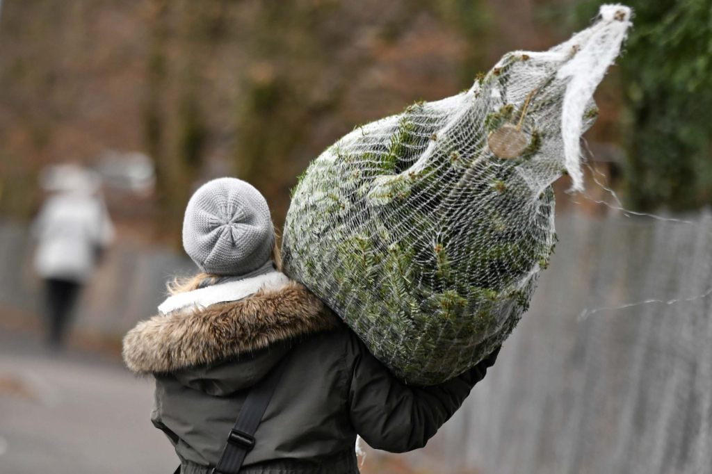 Darum solltest du einen einheimischen Christbaum kaufen