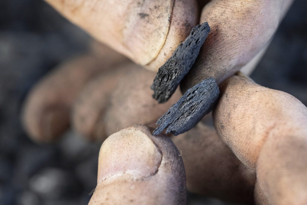 So kannst du deinen Weihnachtsbaum entsorgen