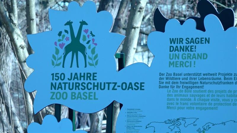 Tag der offenen Tür: Der Zolli feiert nochmals sein 150-jähriges Bestehen