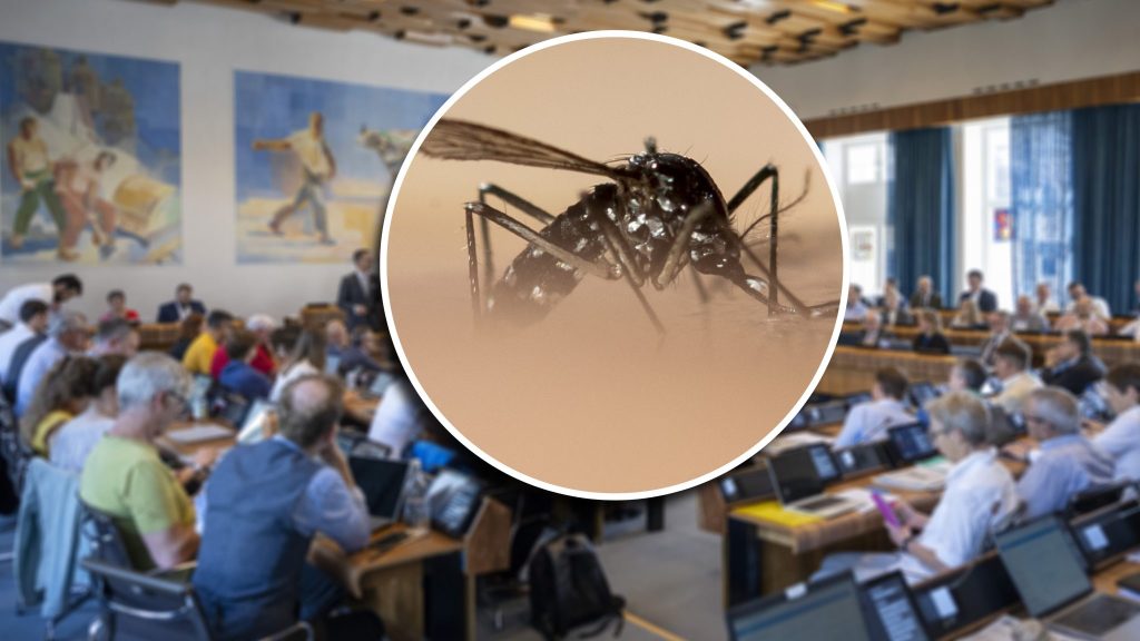 Keine Budgetkürzungen bei der Bekämpfung der Tigermücke