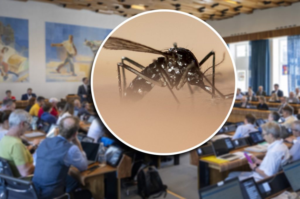 Keine Budgetkürzungen bei der Bekämpfung der Tigermücke