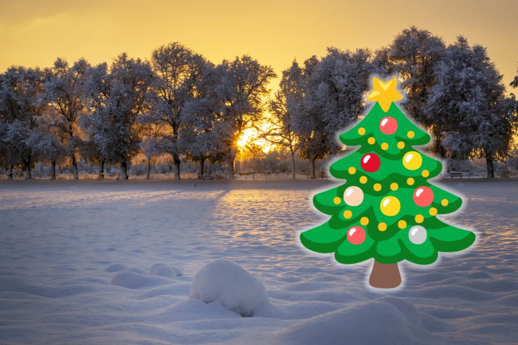 Können wir uns dieses Jahr auf weisse Weihnachten freuen?