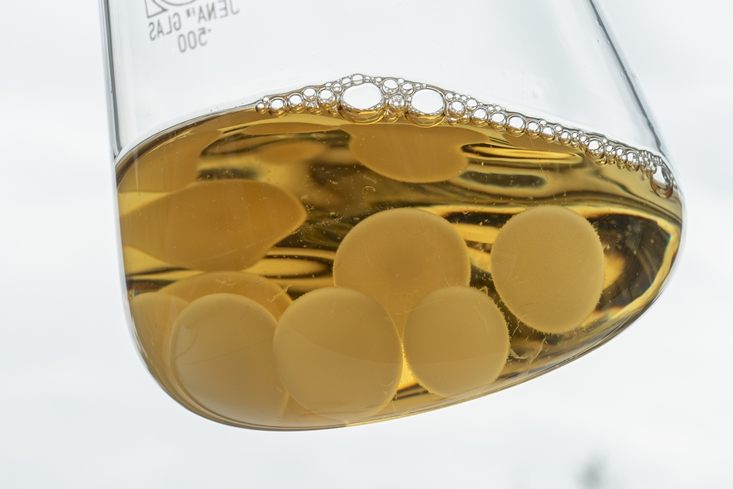 Batterie nicht aus Metall sondern aus Pilzen