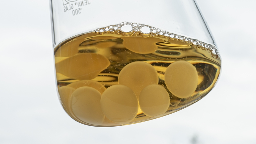 Batterie nicht aus Metall sondern aus Pilzen