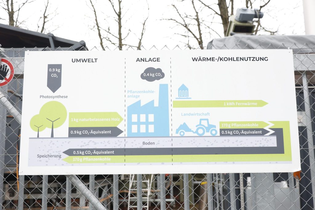 So wird aus deinem Tannenbaum Pflanzenkohle