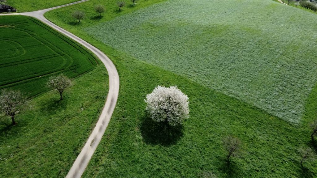 Tenniken stimmt nochmals über den Naturpark ab