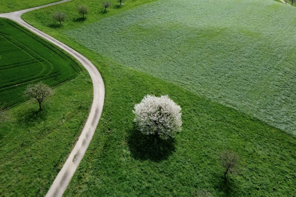 Tenniken stimmt nochmals über den Naturpark ab