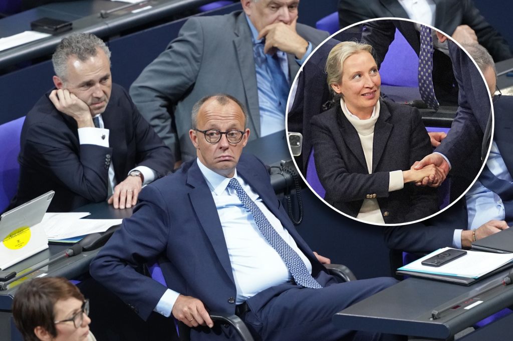 Migrations-Abstimmung führt zu Eklat im Bundestag – die AfD feiert