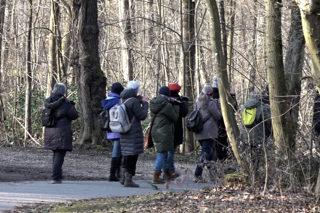 Marschübungen: In den Langen Erlen kracht es zwischen Cliquen und E-Bikern