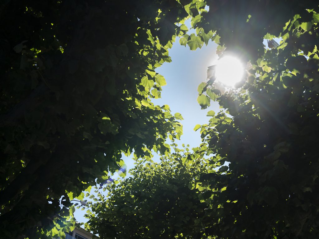 Keine Gesetzesänderungen zur Hitzeinsel-Reduktion