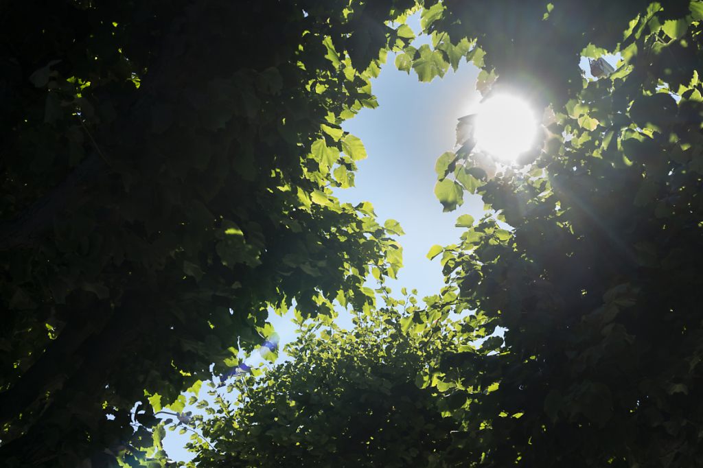 Keine Gesetzesänderungen zur Hitzeinsel-Reduktion