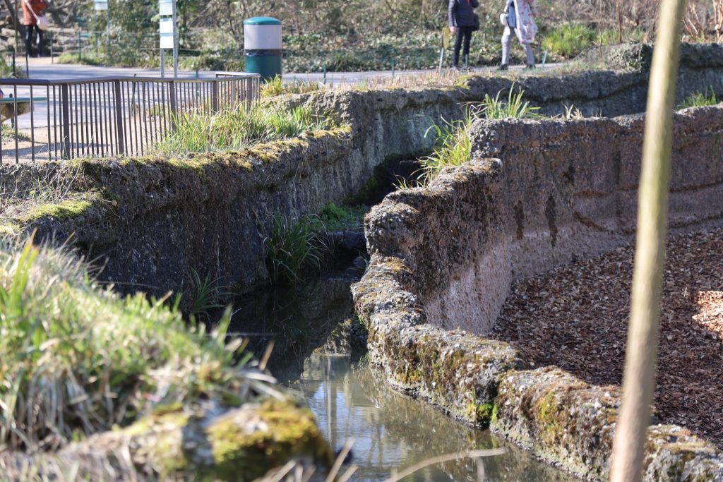 Zolli-Direktor: «Wir leiden extrem, wenn so etwas passiert»