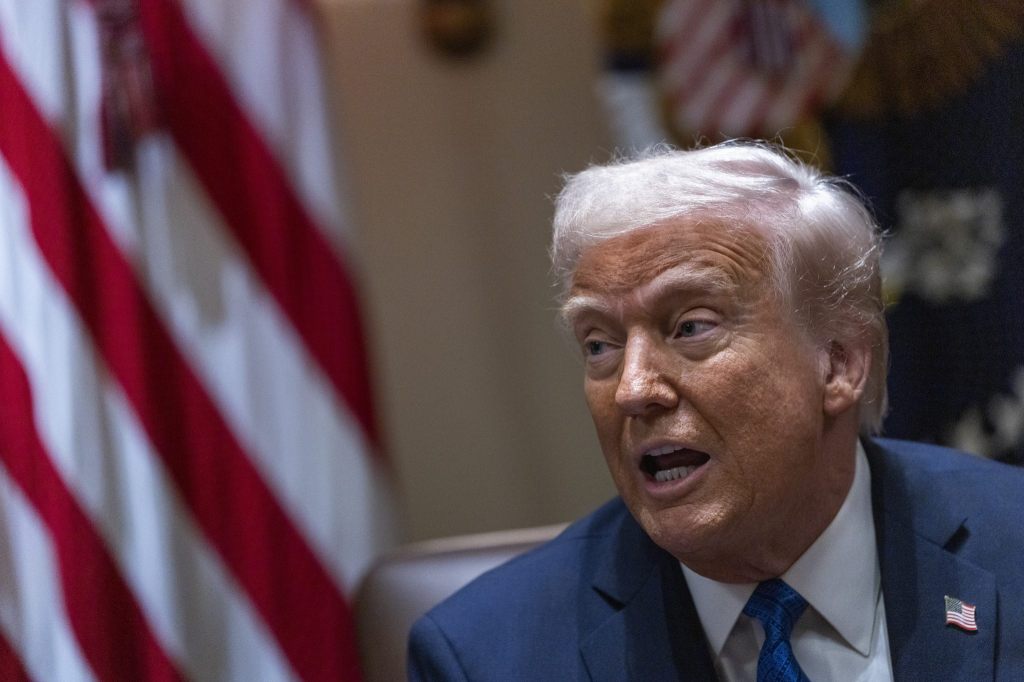 Trump will Regeln für US-Wahlen verschärfen