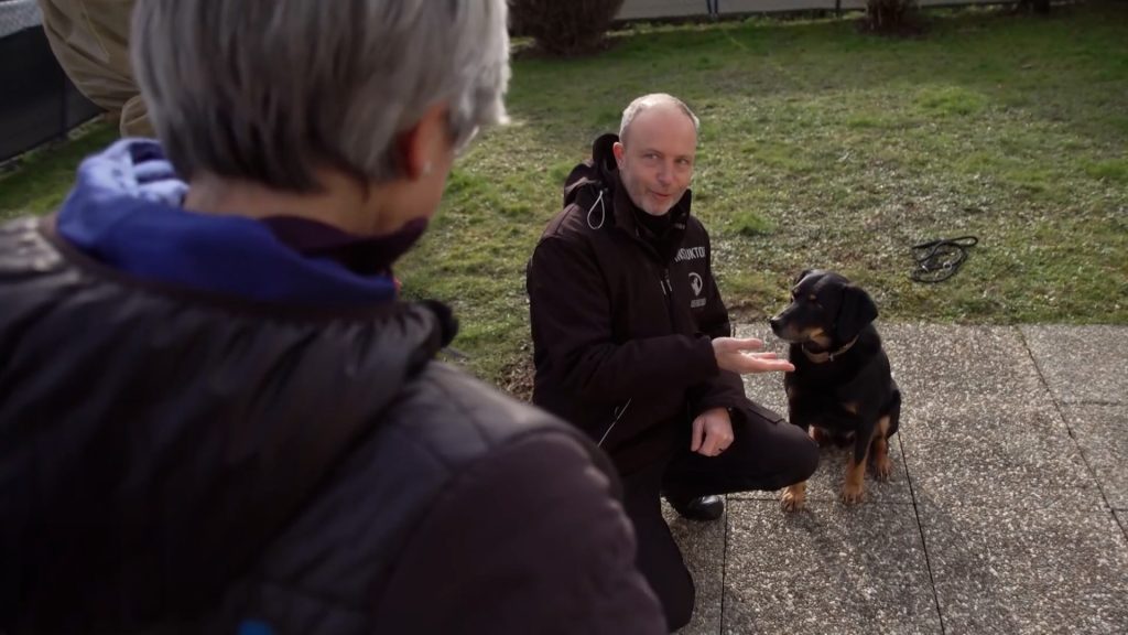 So bewältigen Betroffene ihre Angst vor Hunden