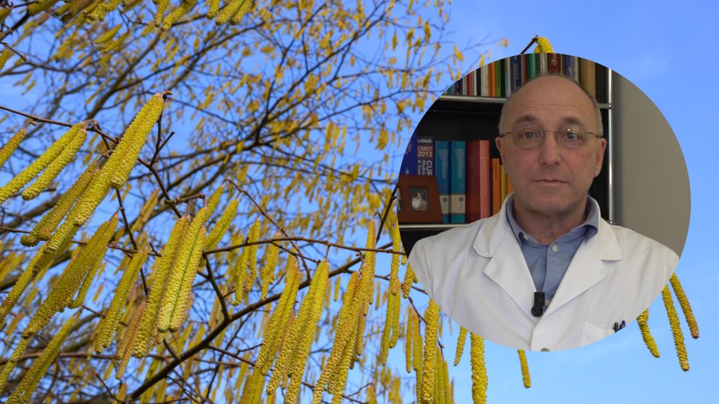 Allergologe: «Die Pollensaison kann schon im Januar beginnen»