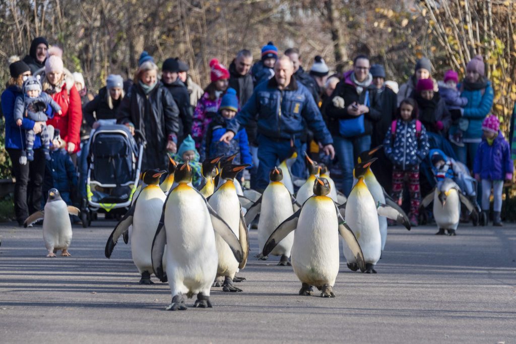 Zolli verzeichnet im Jubiläumsjahr 2024 einen Besucherrekord