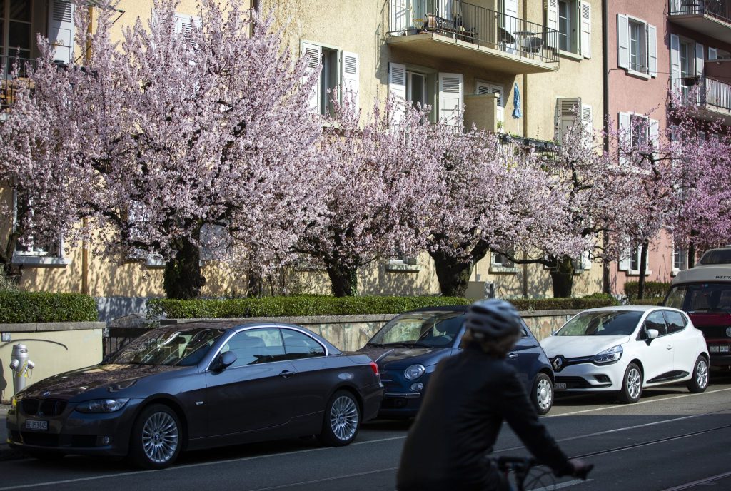 Bluescht-Blast: Verschiedene Touren durch die Baselbieter Blütenpracht