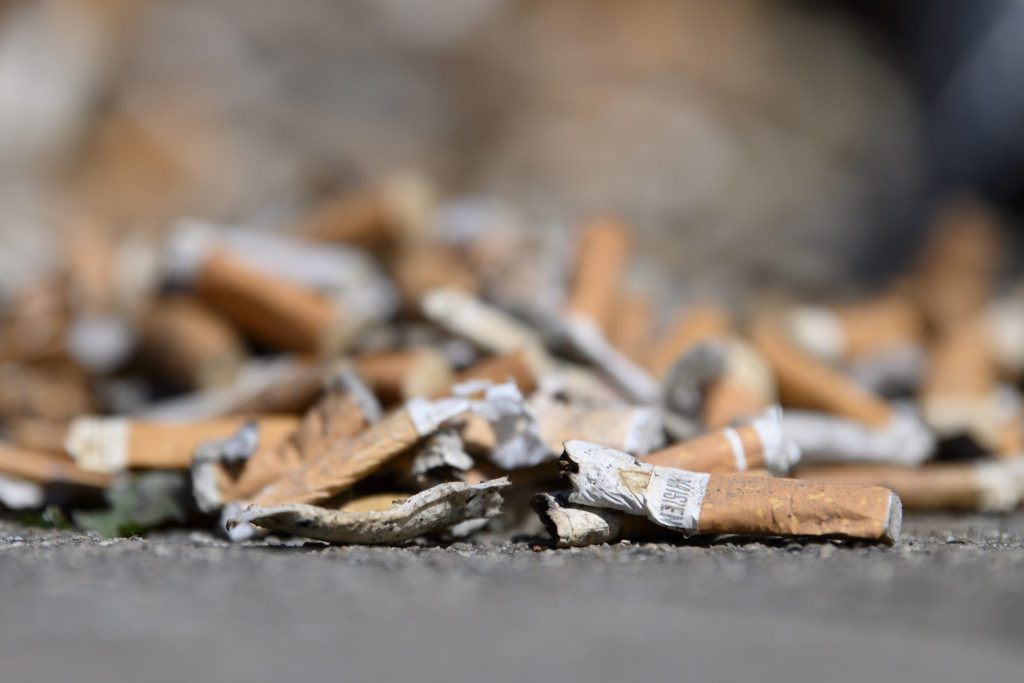 Freiwillige sammeln eine halbe Million Zigarettenstummel