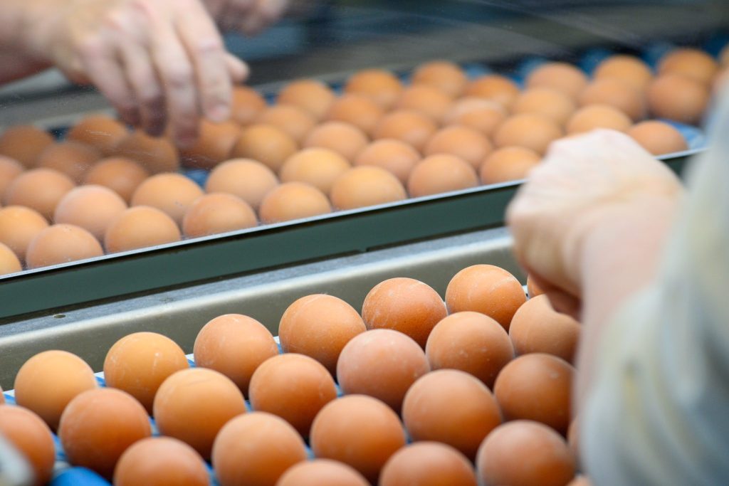 Schweizerinnen und Schweizer essen immer mehr Eier