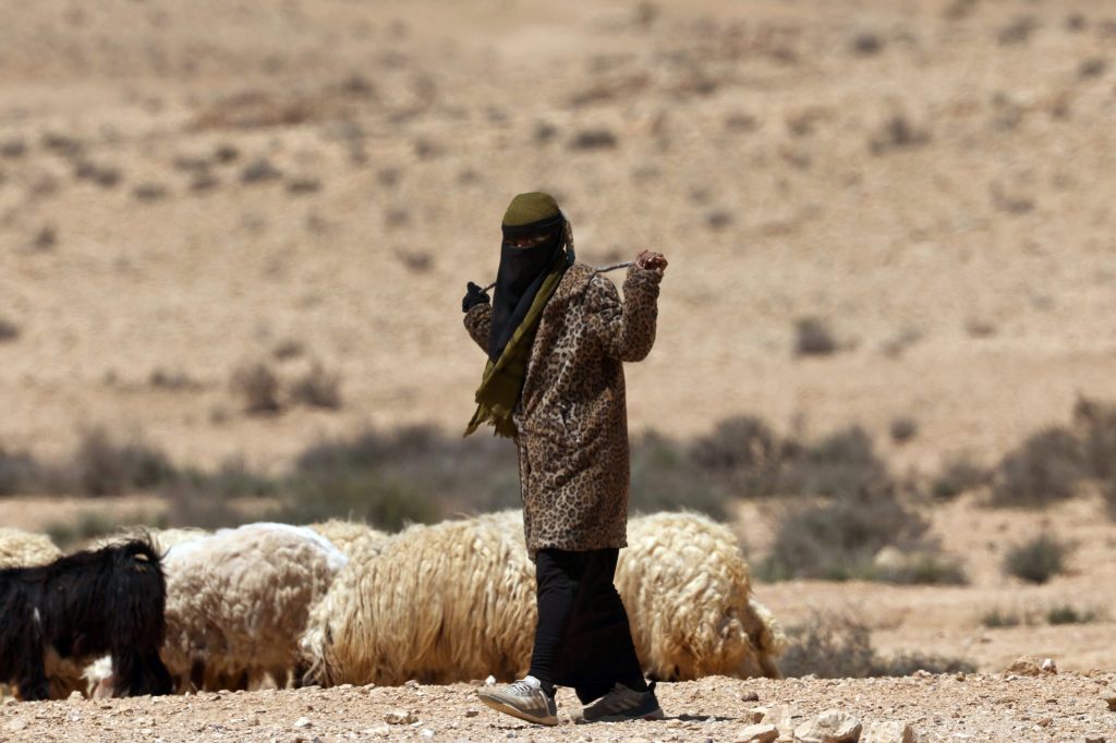 Halbe Million Menschen im Gazastreifen vertrieben