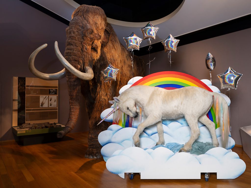 Einhorn, Erinnerungsbox und Regenbogen – ESC in den Basler Museen