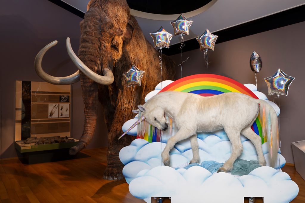 Einhorn, Erinnerungsbox und Regenbogen – ESC in den Basler Museen