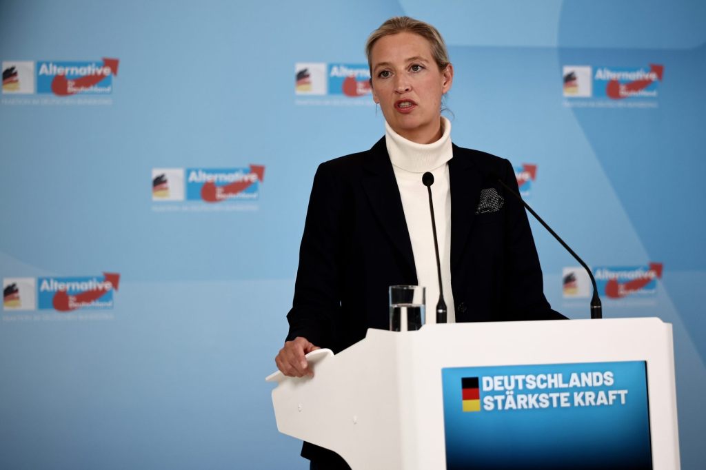 Vor Union: AfD erreicht in Umfragen neuen Höchstwert