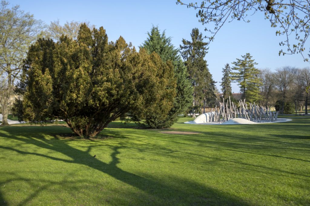 Basler Kannenfeldpark erhält Schulthess Gartenpreis 2025